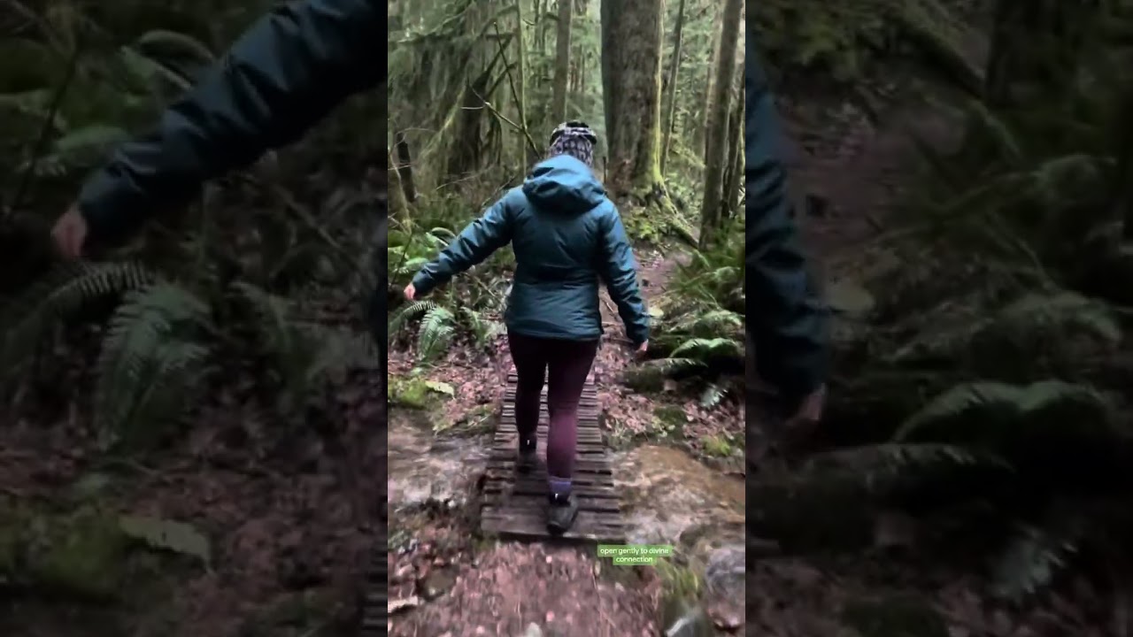 Connect Back in with Nature 🌲🏞️💜✨