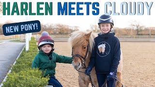 HARLEN MEETS CLOUDY OUR NEW SHETLAND PONY!