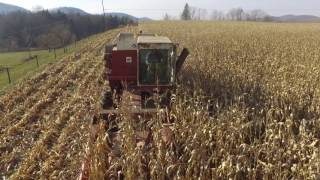 Corn Harvest- IH 615 Combine and  New Idea 325 Corn Picker
