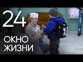 Окно жизни. Серия 24. Мелодрама. Сериал о врачах. Сезон 1. Baby Boxes. Episode 24.