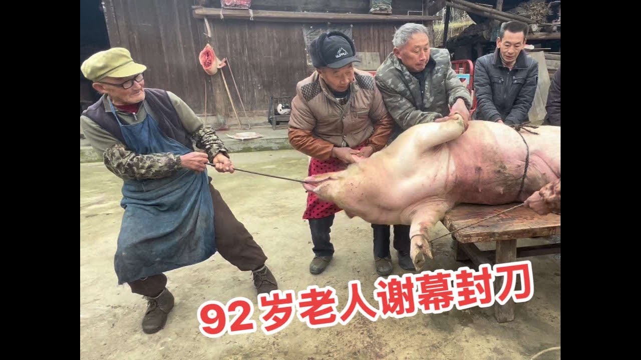 中国、漢加彩猪 92岁老屠夫封刀谢幕不愧是老辈手艺人这刀干净利落稳如泰山#杀年猪了