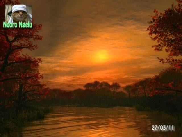 thumbnail img1x1