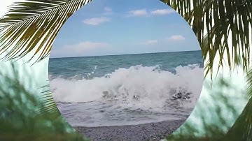 Intro video for Relaxation pulse