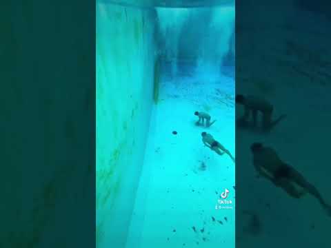 水球選手の立ち泳ぎの能力を深いプールで実験した結果がこちら Shorts