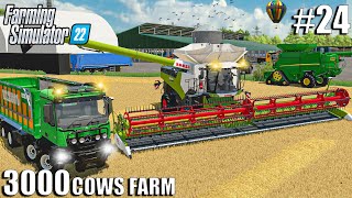 Big WHEAT Harvest with the NEW CLAAS LEXION | 3000 COWS Farm #24 | Farming Simulator 22