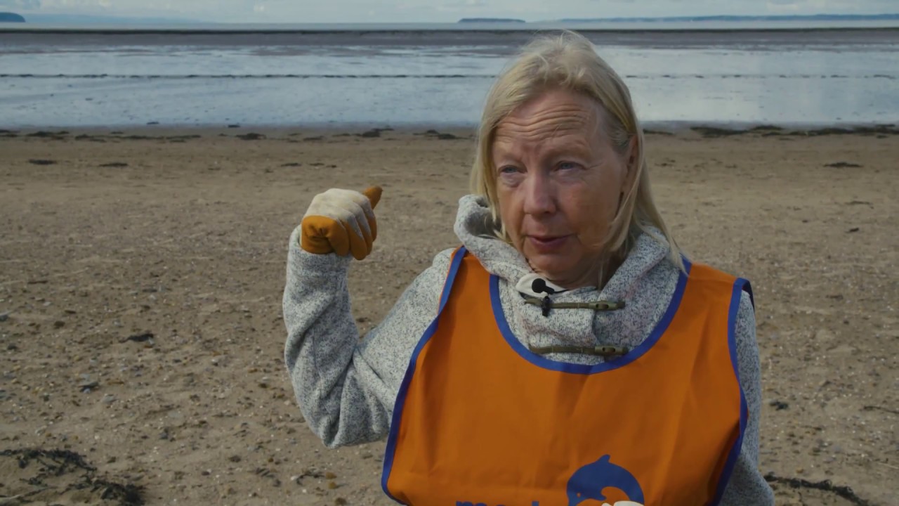 deborah meaden plasterboard fixing