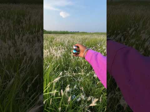 JBL Mini Speaker 🌿 Bush Testing | Amazing Sound Test!