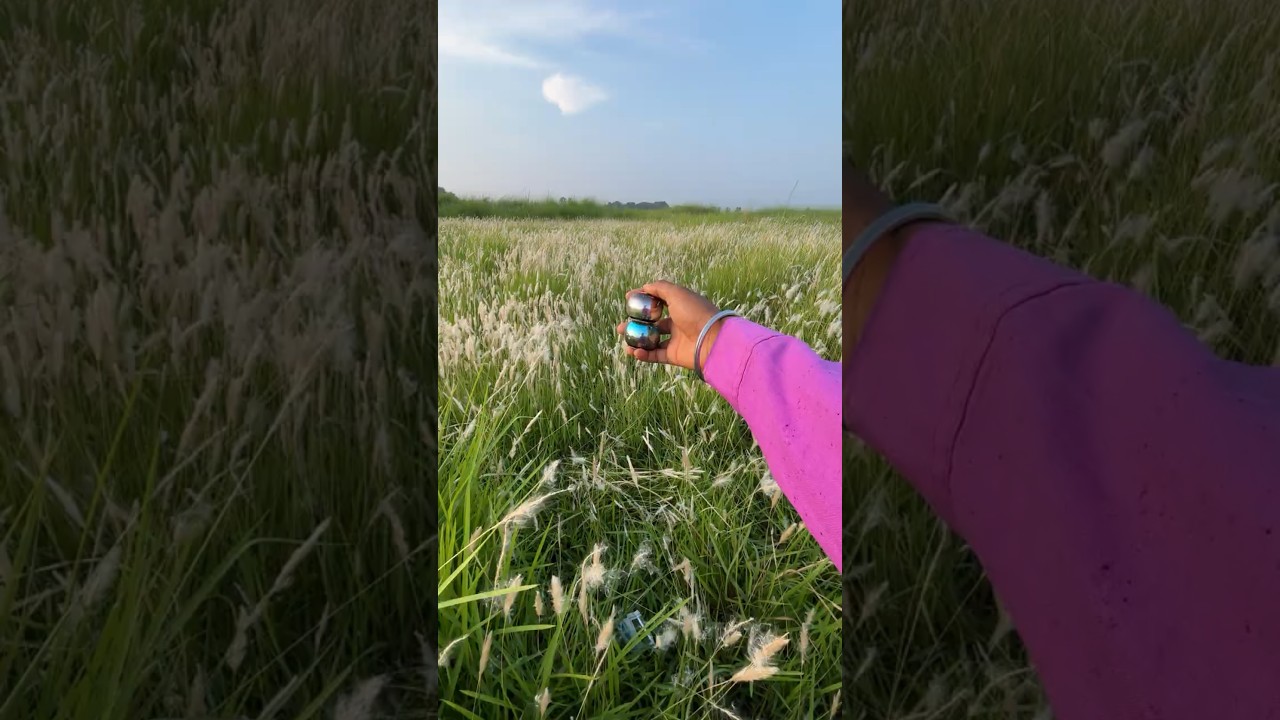 JBL Mini Speaker 🌿 Bush Testing | Amazing Sound Test!
