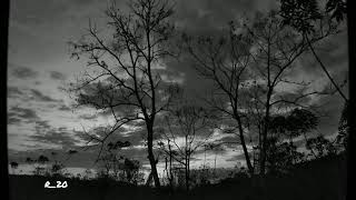 Download Lagu Story WA || Lirik Lagu || Lirik Story (Take Me Home,Country Roads-John Denver) MP3