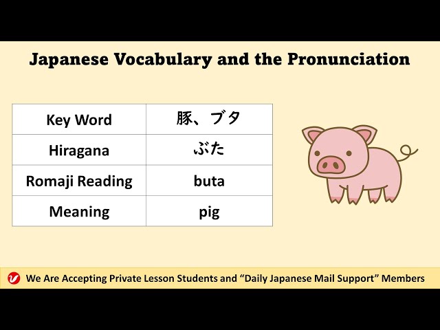 豚 (ぶた、ブタ、buta) | pig | Japanese Vocabulary and the