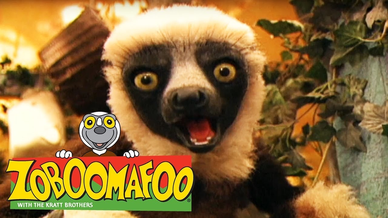 lemur zoboomafoo, zoboomafoo song, zoboomafoo games, zoboomafoo theme, zobo...