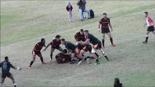 Lux Ntsepe 2019
