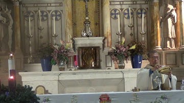 Thánh Lễ Kính Đức Maria Vô Nhiễm Nguyên Tội.