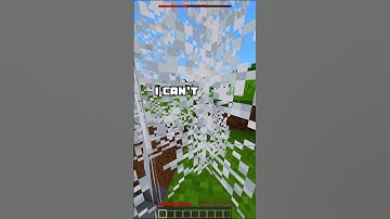 Minecraft but random CHAOS happens every 10 seconds 😂