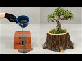 Make tree shaped flower pots from bricks and cement