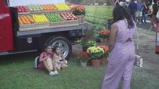 '10 out of 10': Annual Sacramento Farm-to-Fork Festival wraps up