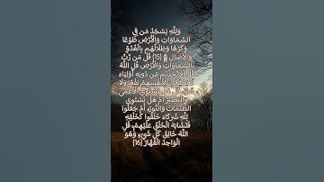 وَلِلَّهِ يَسْجُدُ مَن فِي السَّمَاوَاتِ وَالْأَرْضِ طَوْعًا ..... ( سوره الرعد) الشيخ ياسر الدوسري