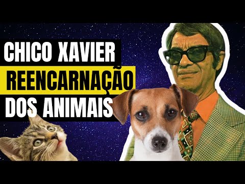 Vídeo: Como falar com seus filhos sobre a morte de um animal de estimação