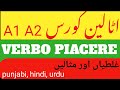 Come usare piacere correttamenteLa differenza tra piace e piaccionoErrori comuni da evitare | urdu