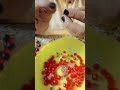 Ш ШіЩ Щ Ш Ш ЩЉЩ Щ Щ Ш Щ Щ ШµЩ ЩЉШЁ ЩЃЩЉ Ш Ш Щ ШЄЩЉЩ рџЋ рџ ќпёЏ Ш ШіЩ Щ Ш Ш ЩЉЩ Щ Щ Ш Щ Щ ШµЩ ЩЉШЁ ЩЃЩЉ Ш Ш Щ ШЄЩЉЩ рџЋ рџ ќпёЏ