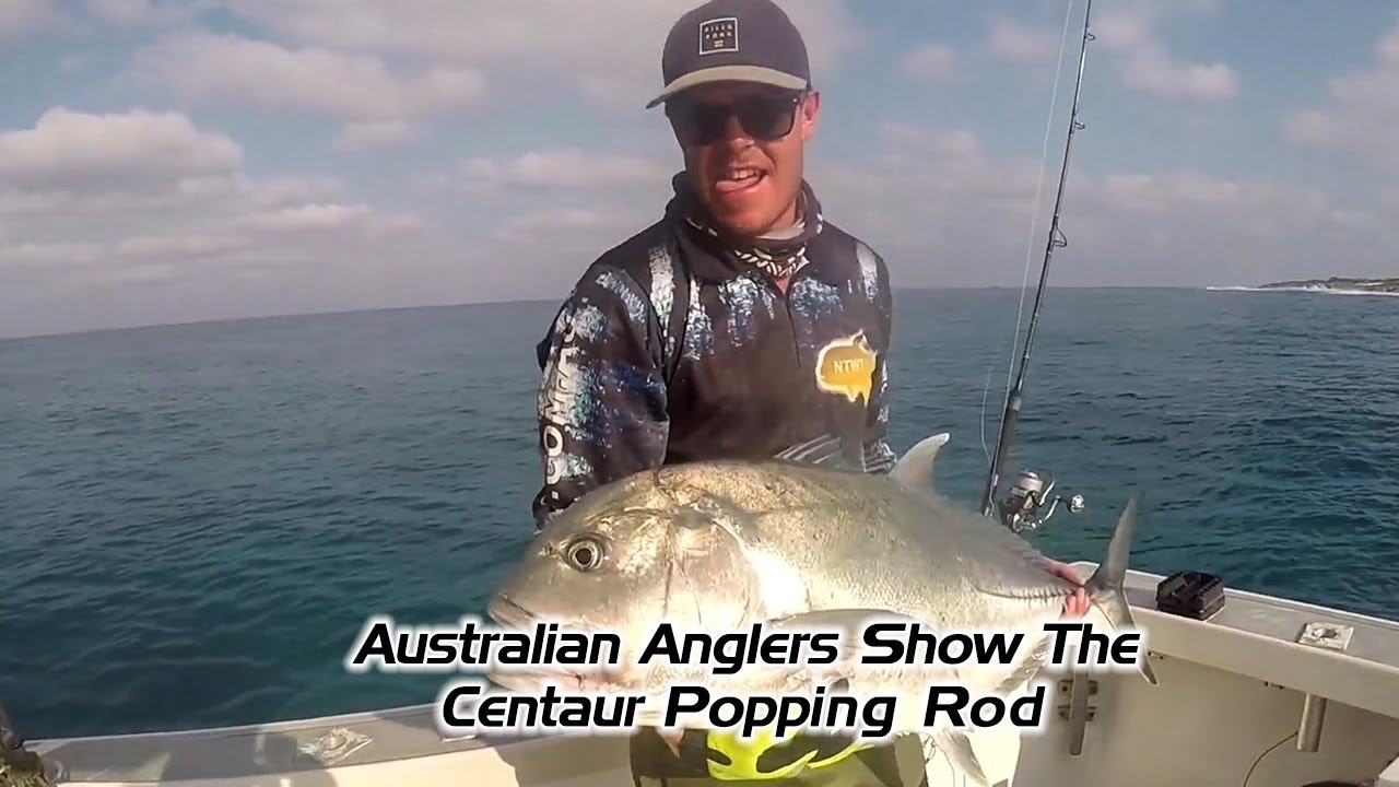 Australian anglers show the Centaur popping rod 