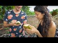 EXOTIC FRUIT WONDERLAND @ ZILL NURSERY COSTA RICA (Pt.1)