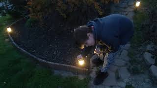 menards yard lights review