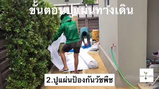 ขั้นตอนการปูแผ่นทางเดิน คาร์เพทสโตน |  by จินดาการ์เด้น