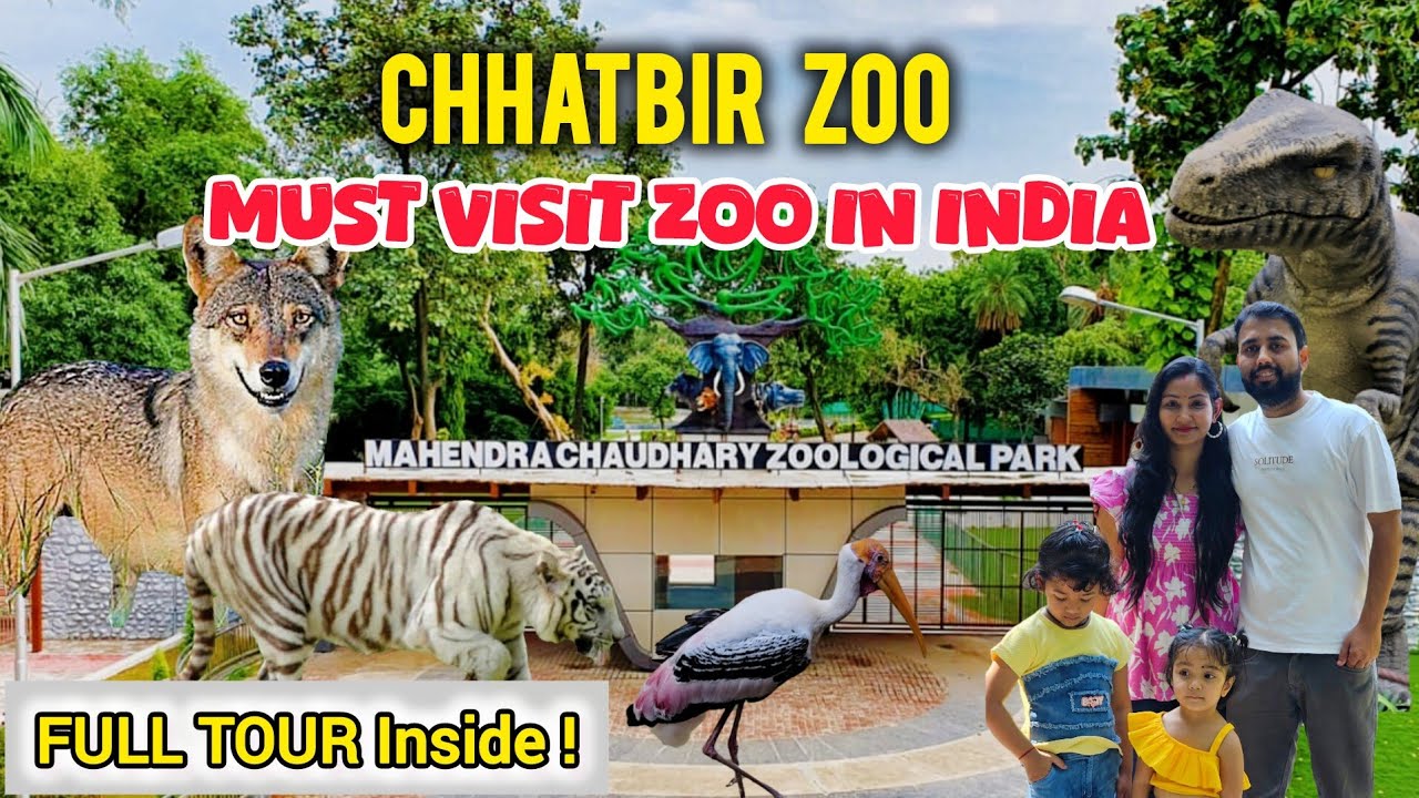 Chhatbir Zoo Full Tour | All Zones, Animals & Lion Safari Experience | Chandigarh Travel Guide 2025