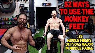 Strengthening Exercise for the PSOAS MAJOR Muscle | 52 Ways to Use the MONKEYFEET