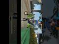 😈😲1vs1 कस्टम#freefire