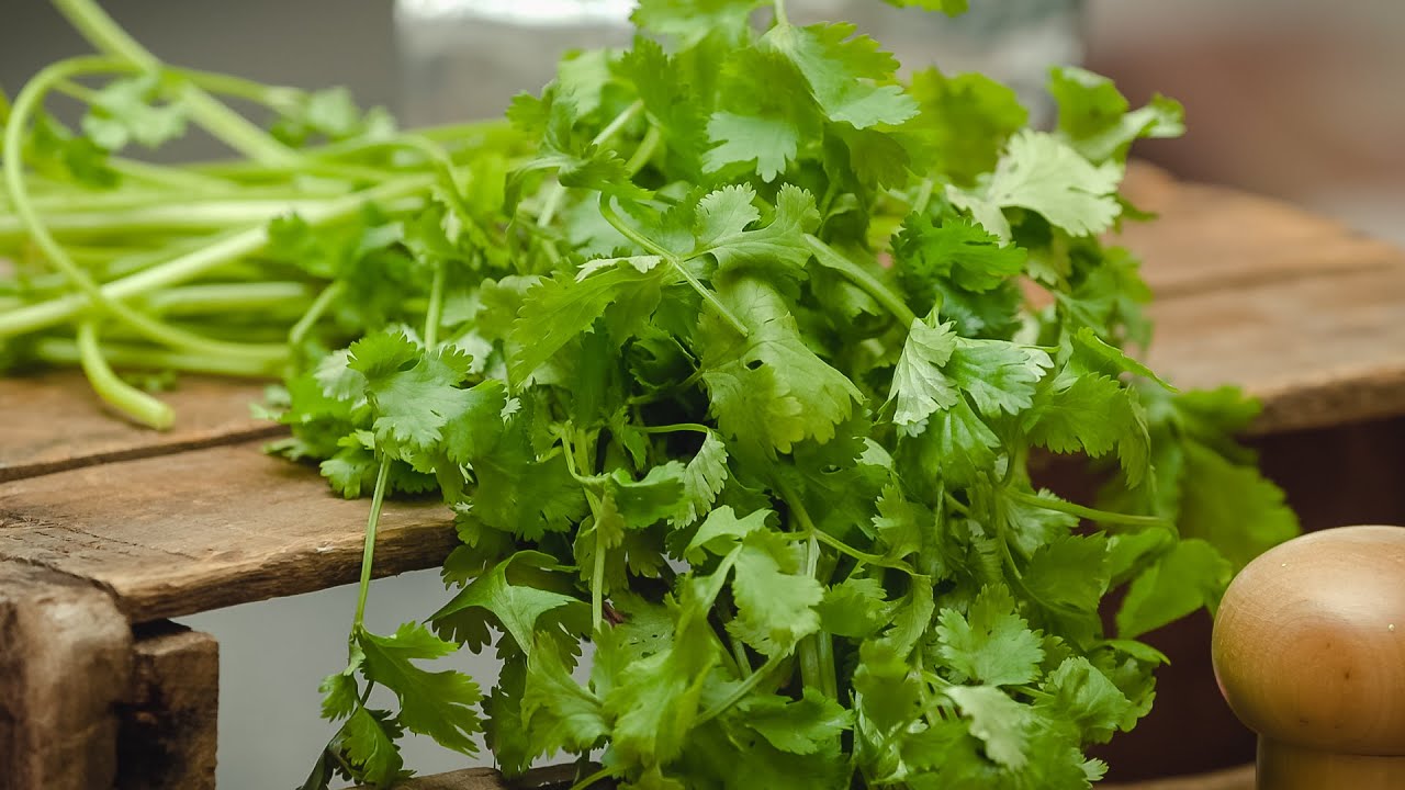 L'épicerie | Le goût, un sens complexe