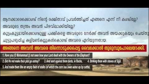 Surah Al-Feel (The Elephant) -سورة الفيل (105 -Malayalam Translation