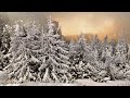 Schneesturm Geräusche in der Natur zum Einschlafen - 4 Stunden Windgeräusche [ASMR]