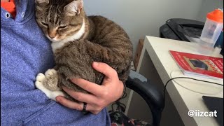 Another video of holding Minnie the baby while I work from home