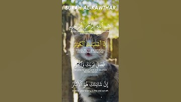 سورة الكوثر - Surah Al Kawthar (Abundant Good) | Mishary Rashid Al Alafasy