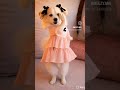 #youtubeshorts