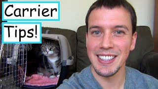 Getting Your Cat In the Carrier Without The Stress!