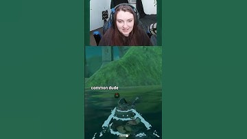 dont worry chat flamed me #botw #zelda #fail #funny #twitch #games