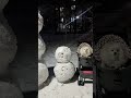 ⛄️눈사람이신기해쳐다보는미미