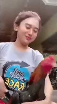 wanita cantik mandiin ayam jago
