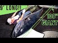 Catching and Cooking the WORLDS MOST VALUABLE Fish!! | 9 Foot Monster Bluefin Tuna!!!