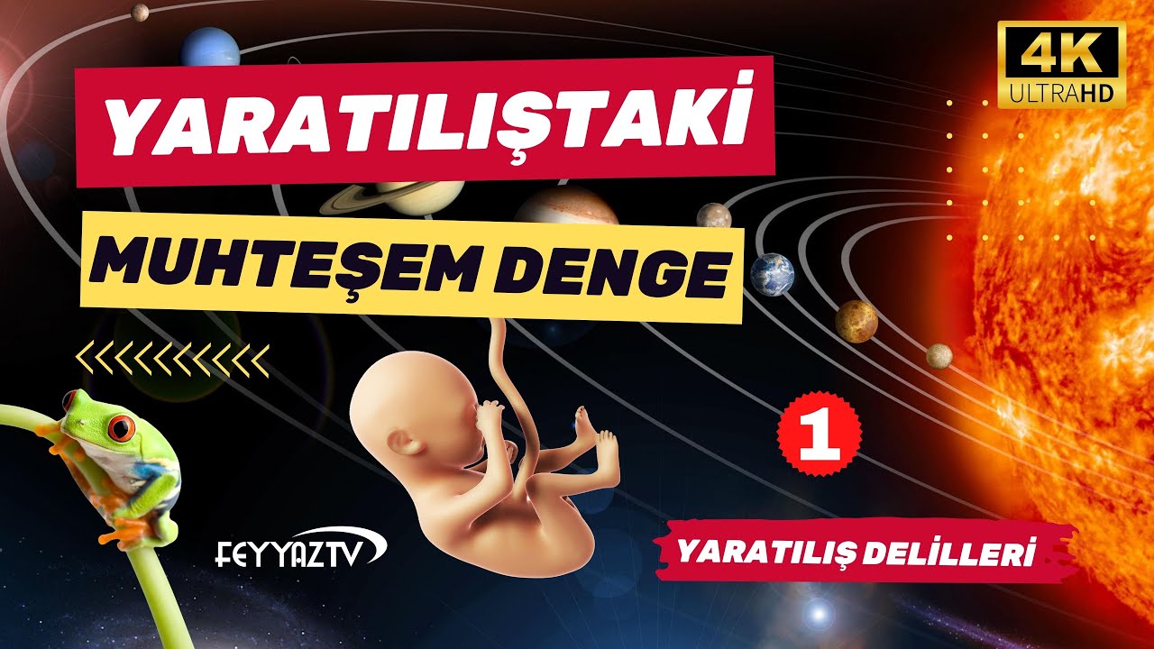 YARATILIŞTAKİ MUHTEŞEM DENGE