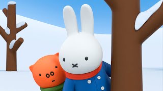 Following Footprints: Who's in the snow? | Miffy's Adventures Big & Small | Series 3 | Episode 19