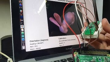 Bosch BNO055 Shuttleboard + Raspberry Pi