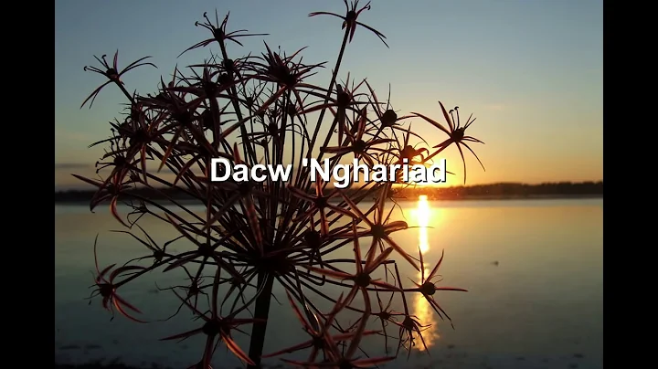 Eve Goodman - Dacw 'Nghariad [Welsh folk song]