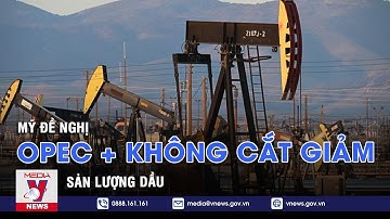 Mỹ đề nghị OPEC+ không cắt giảm sản lượng dầu - VNEWS