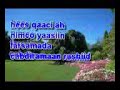 Nimco Yaasin Qaaci Nimco Yaasin Qaaci