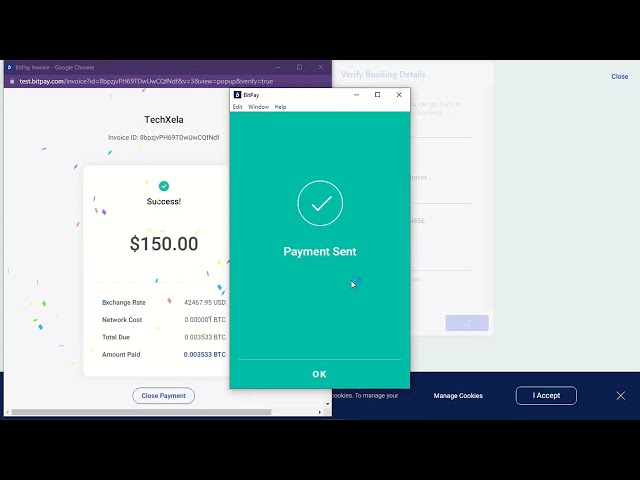 BitPay for LatePoint - Customer Demo