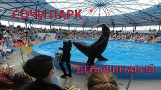 Сочи Парк Дельфинарий Май 2022 Морской Лев Имеретинский Курорт Сириус часть 2
